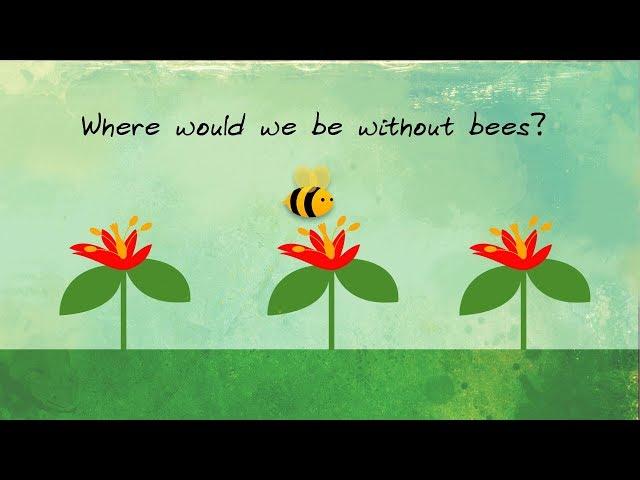 Where Would We Be Without Bees?