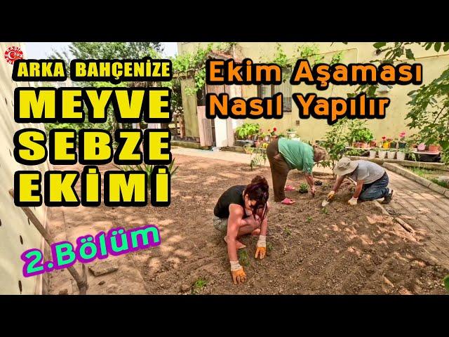 Bahçede Sebze ve Meyve Ekimi 2. Bölüm | Ekim aşaması | Nasıl yapılır, nelere dikkat etmeliyiz?