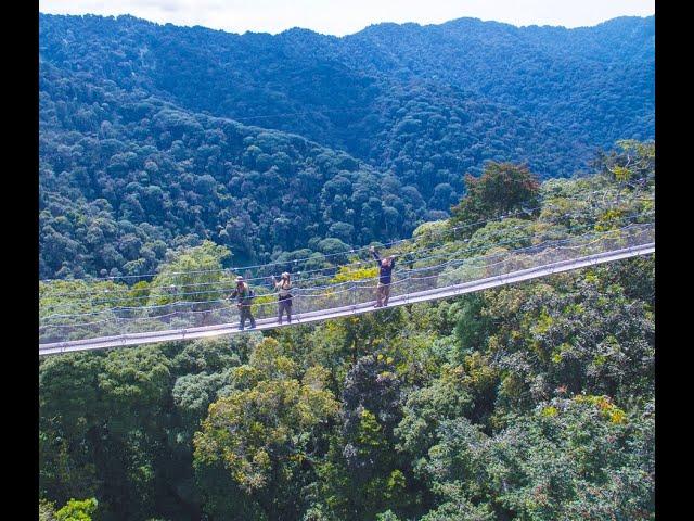 Nyungwe canopy walk with Tecno Mobile Rwanda #jiku #jikusafarisrwanda #visitrwanda #nyungwe #forest