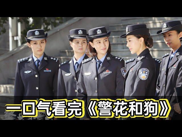 大毒枭整容成女人前去交易，没想到一眼就被警花发现，被抓后还不知道什么原因丨一口气看完《警花和狗》#悬疑剧解说