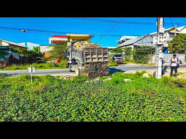 Amazing Powerful Bulldozer Push the stone into the water. Near development area Use Dump Truck 5 Ton