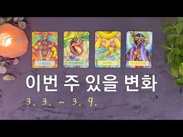 [타로/주간운세] 3월 첫째 주 종합운(3. 3. ~ 3. 9.)