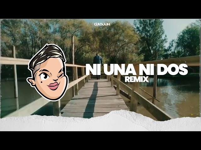 NI UNA NI DOS REMIX (Tik Tok) DJ Lauuh | BM,