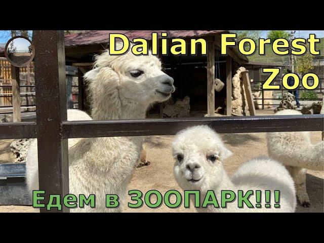 Зоопарк в городе Далянь, Китай / Dalian Zoo, China