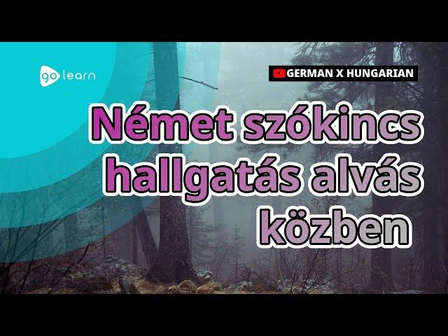 Német szókincs hallgatás alvás közben |Golearn