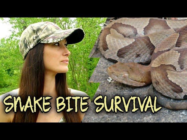 SURVIVE A SNAKEBITE WITH THIS PLANT #BUSHCRAFTING #HOWTOSURVIVEASNAKEBITE