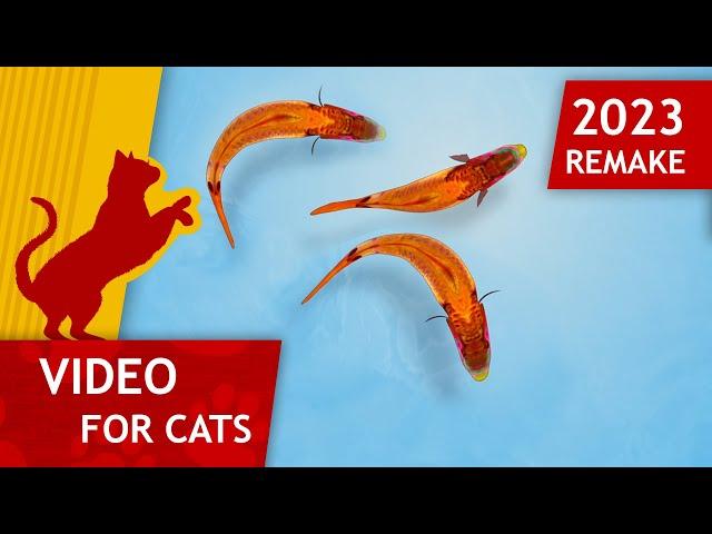 Cat Games -  Catching Fish Remake 2023 (Video for Cats to watch) 4K