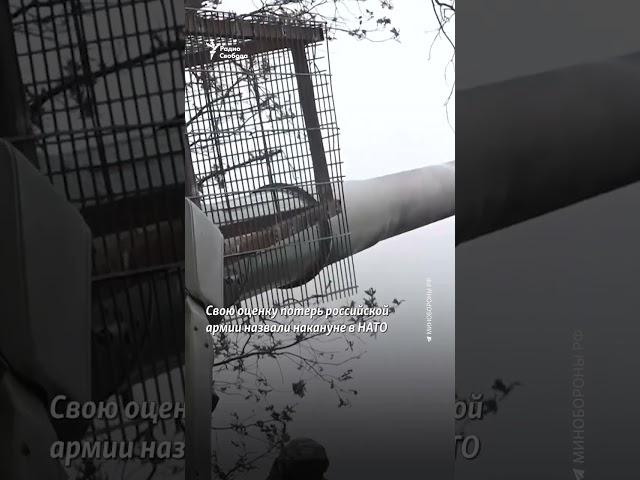 Штурм или яма: наказания для российских военных