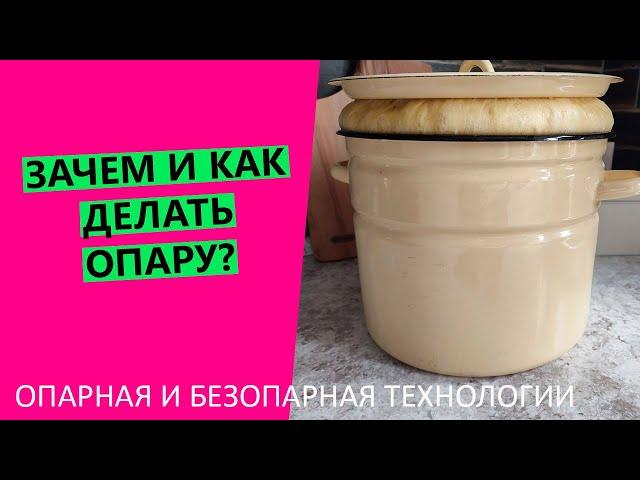 Зачем нужна опара? Об опарном и безопарном тесте | Как и для чего делать опару?