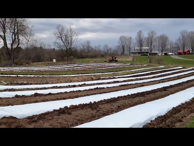 It's Almost Time! Building the Rows for Our 2024 Flower Farm! : Flower Hill Farm