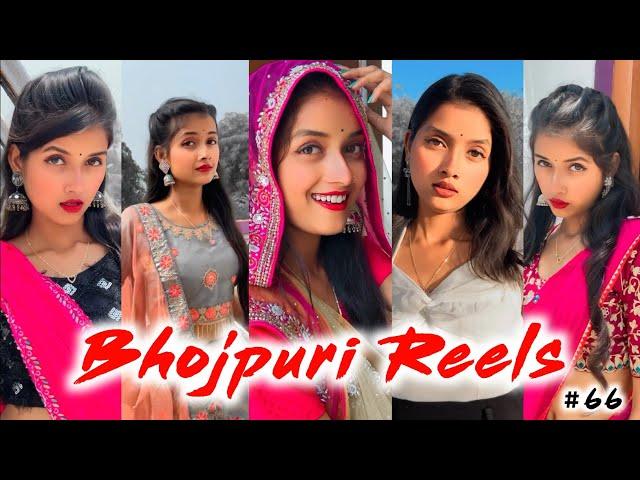 Part-66 Instagram Bhojpuri Reels | Bhojpuri Tik Tok | Trending Bhojpuri Reels | Bhojpuri Shorts