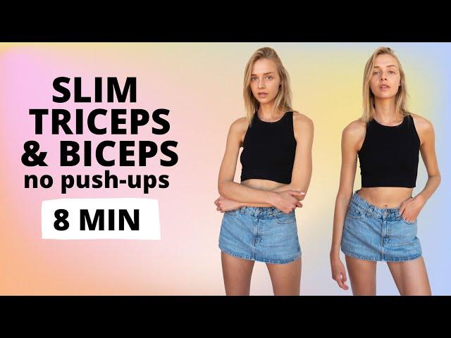 Slim and Lean Triceps & Biceps No Push-Up Arm Workout / Nina Dapper