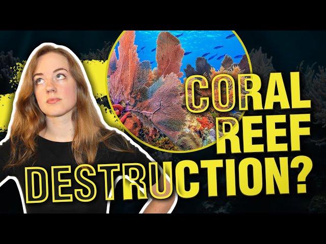 Are Coral Reefs Disappearing?