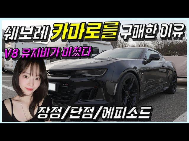 유지비 미친 쉐보레 카마로를 구매한 이유, 장점 및 단점 에피소드, 현실적인 드림카