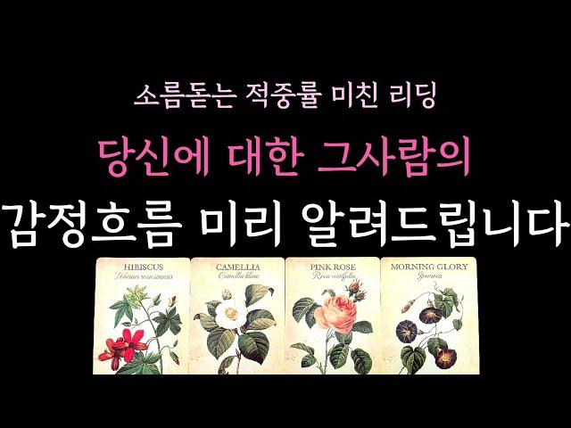 [다복 타로] 소름돋는 적중률 미친 리딩 당신에 대한 그사람의 감정흐름 미리 알려드립니다