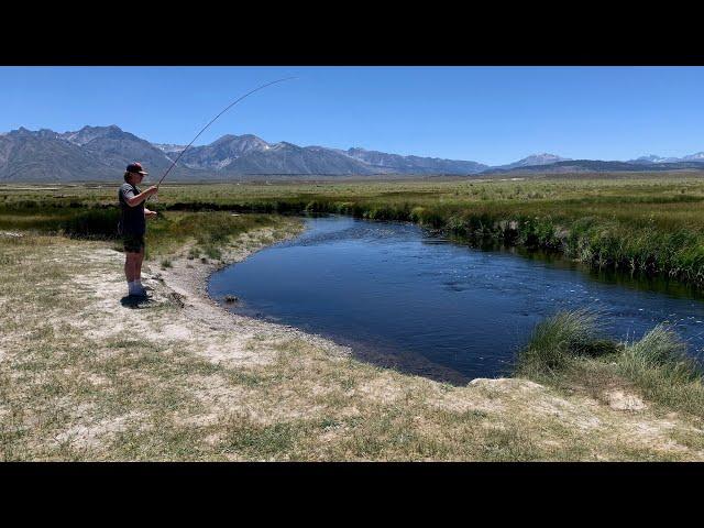 CATCHING LOADS OF FISH AT OWENS RIVER | MAMMOTH LAKES, CA