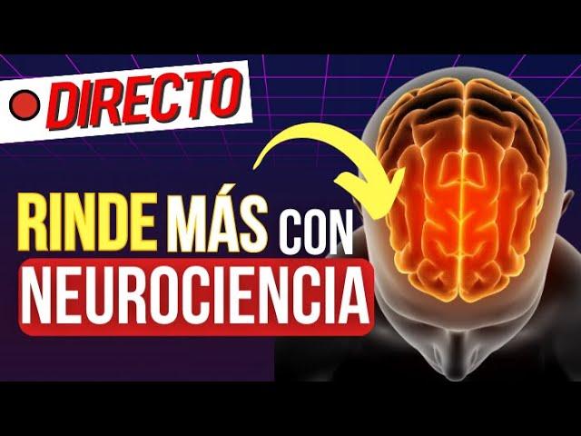  Neurociencia y Productividad Personal para Rendir Más y Ganar Bienestar ⬆️