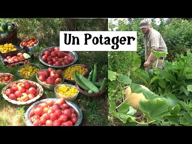 Le temps d'un potager ...