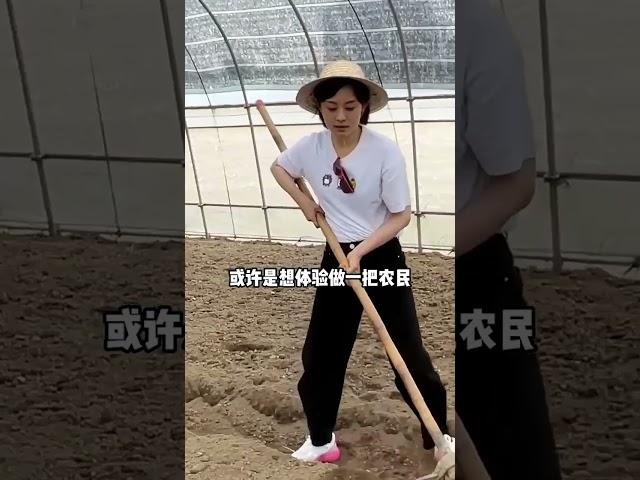 明星退休越來越年輕化？42歲孫儷提前退休，馬天宇38歲過得像老人