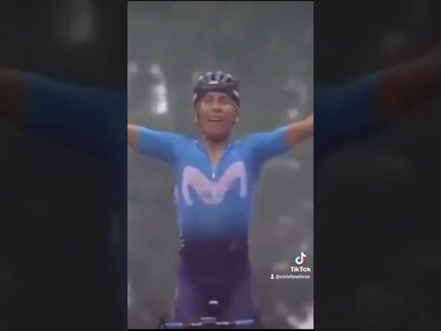 NAIRO QUINTANA es tumbado  por un aficionado y GANA ETAPA