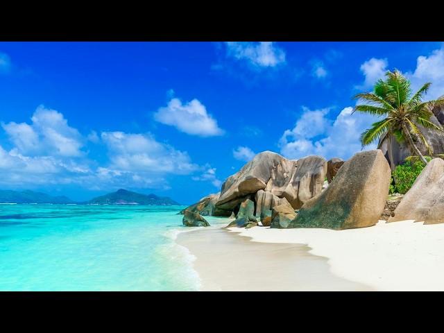 SEYCHELLES 4K | Most beautiful beaches in the world (ASMR)