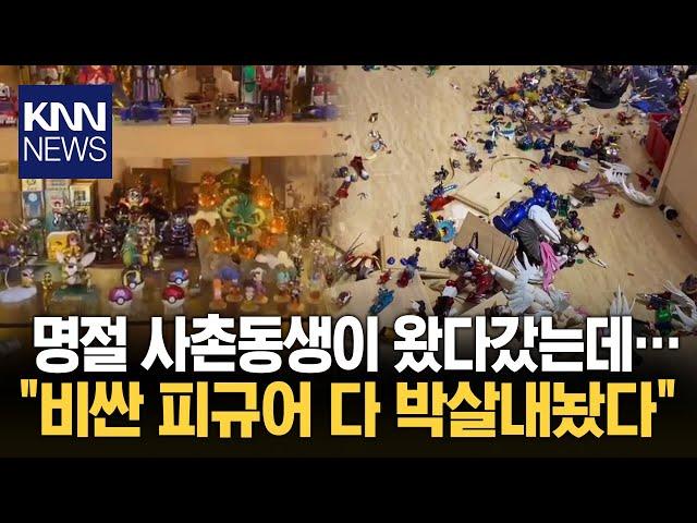 명절날 사촌동생 왔다갔더니... 피규어 전부 박살 / KNN