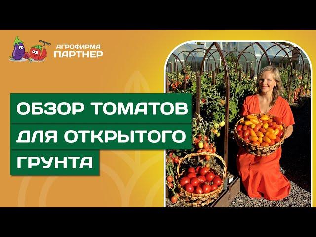 СОБИРАЕМ ШИКАРНЫЙ УРОЖАЙ ТОМАТОВ В ОТКРЫТОМ ГРУНТЕ