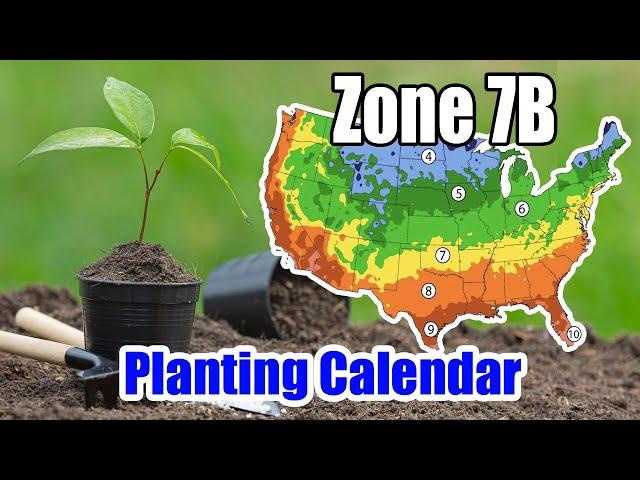 Zone 7b Planting Calendar: Best Times to Grow Your Garden