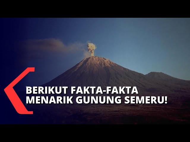 Tertinggi Ketiga di Indonesia, Ini Fakta-fakta Menarik Soal Gunung Semeru!