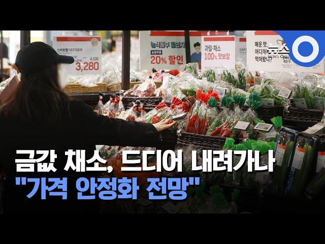 금값 채소, 드디어 내려가나.. "가격 안정화 전망" / OBS 경인투데이