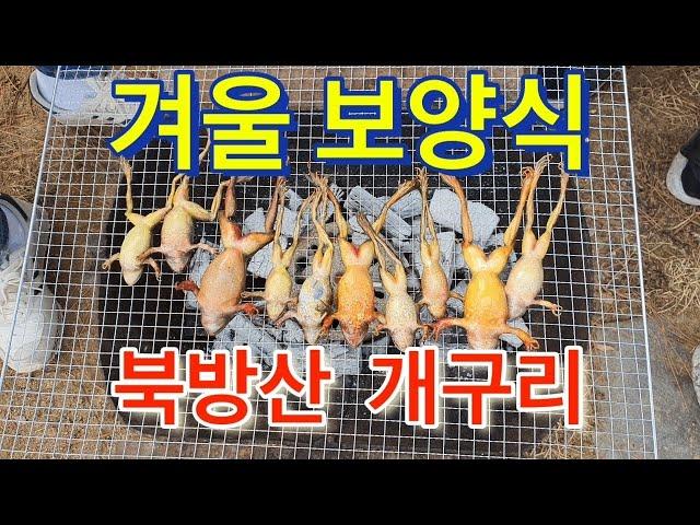 [개구리]겨울 최고의 보양식 북방산 "개구리" 개구리 FLEX (플렉스)  맛있게 먹는 방법  Frog Eating