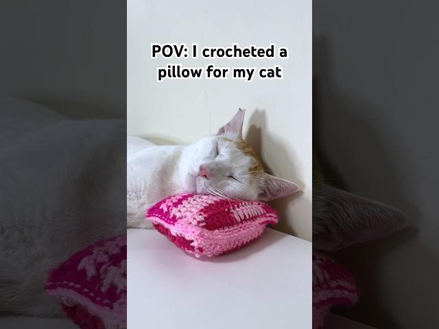 A crochet pillow for my cat!