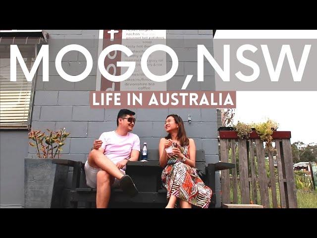 Exploring Mogo, NSW | Life in Australia Vlog | Aya Marie Travel Diary