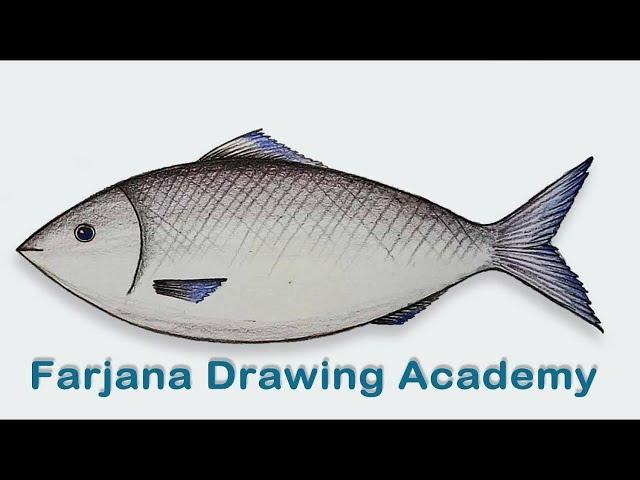 How to draw  a fish step by step (very easy)