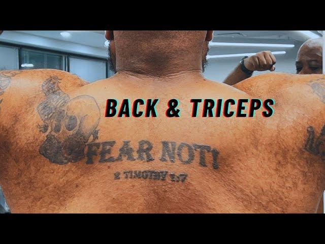 My BACK & TRICEPS workout gains REVEALED