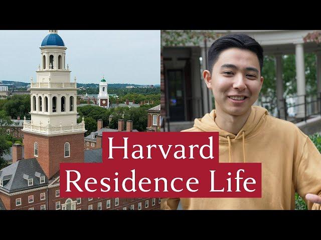 Four Harvard students explain what it's like to live at Harvard College