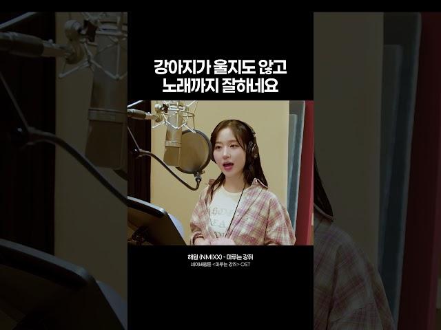 강아지가 울지도 않고 노래까지 잘하네요 #Maru_is_a_Puppy #NMIXX #HAEWON