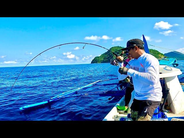 UMPAN SEKALI LEMPAR LANGSUNG DISAMBAR BABON DENGAN LIGHT TACKLE.