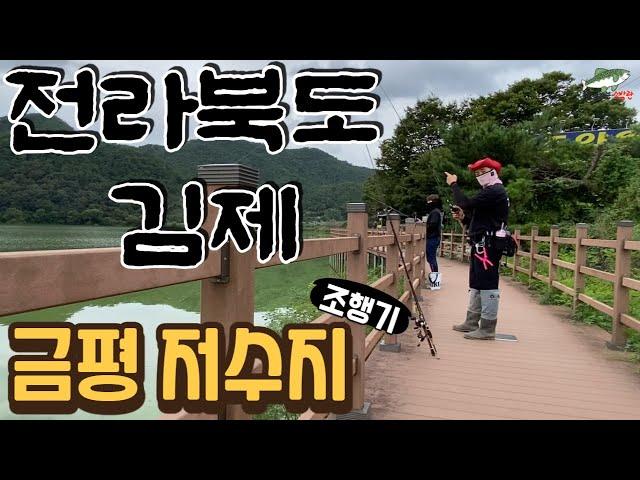 전라북도 김제에 위치한 금평저수지!!! 입질 대박!!! 던지면 때리네??? / Korean Bass fishing is the best