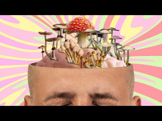 This Is Your Brain On Shrooms