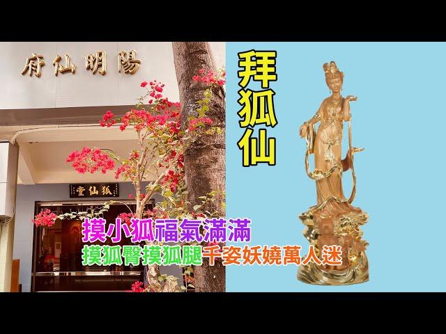 狐仙 - 陽明仙府狐仙堂【Ep4】 - 拜狐仙摸小狐，福氣滿滿！