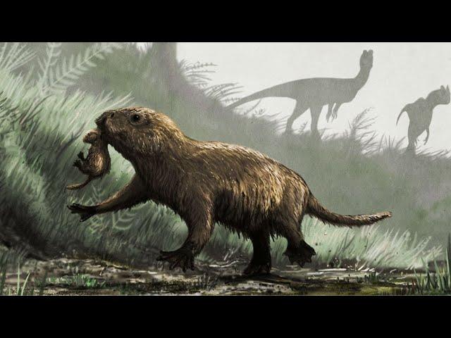 The Early Paleocene: Earth After the Dinosaurs
