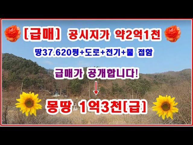 [급매] 도로+전기+물 까지 완벽한 임야37.620평  공시지가약2억1천 급매가 몽땅 1억3천   --30년 보유해온 임야--