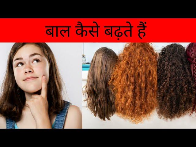 Hair growth science | Phases of hair growth | How does the hair grow