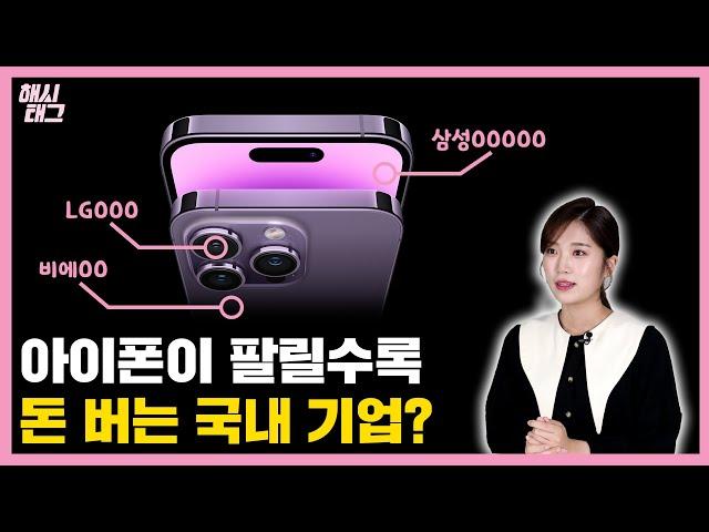 아이폰 프로가 많이 팔릴수록 돈 버는 우리나라 기업?