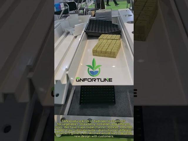 What do you want to plant by hydroponics system?