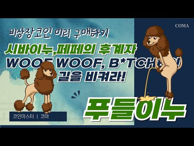 거래소 상장 안된 코인 구매방법! 푸들이누로 알려드립니다. 페페나 시바이누처럼 3200만배 급등?