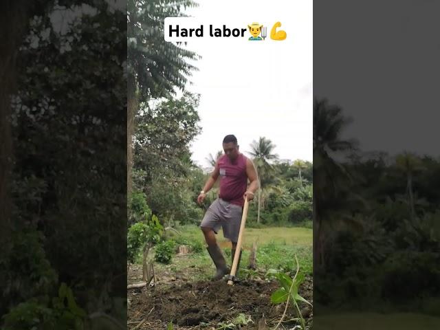 #buhayprobinsya #farming #pagtatanim