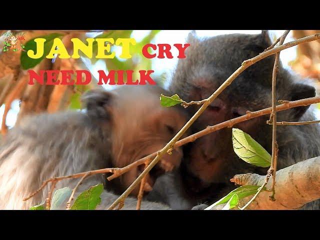 JANET CRY NEED MILK , JANE BITE WEANING HER DAUGHTER JANET COS HER NOW DAY SO BIG |