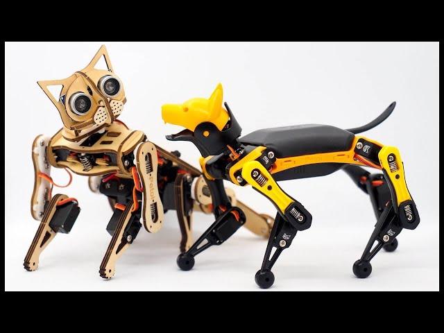 Petoi Bittle | Tiny Robot Dog with Big Potential (STEM Fun!) |  PetoiCamp